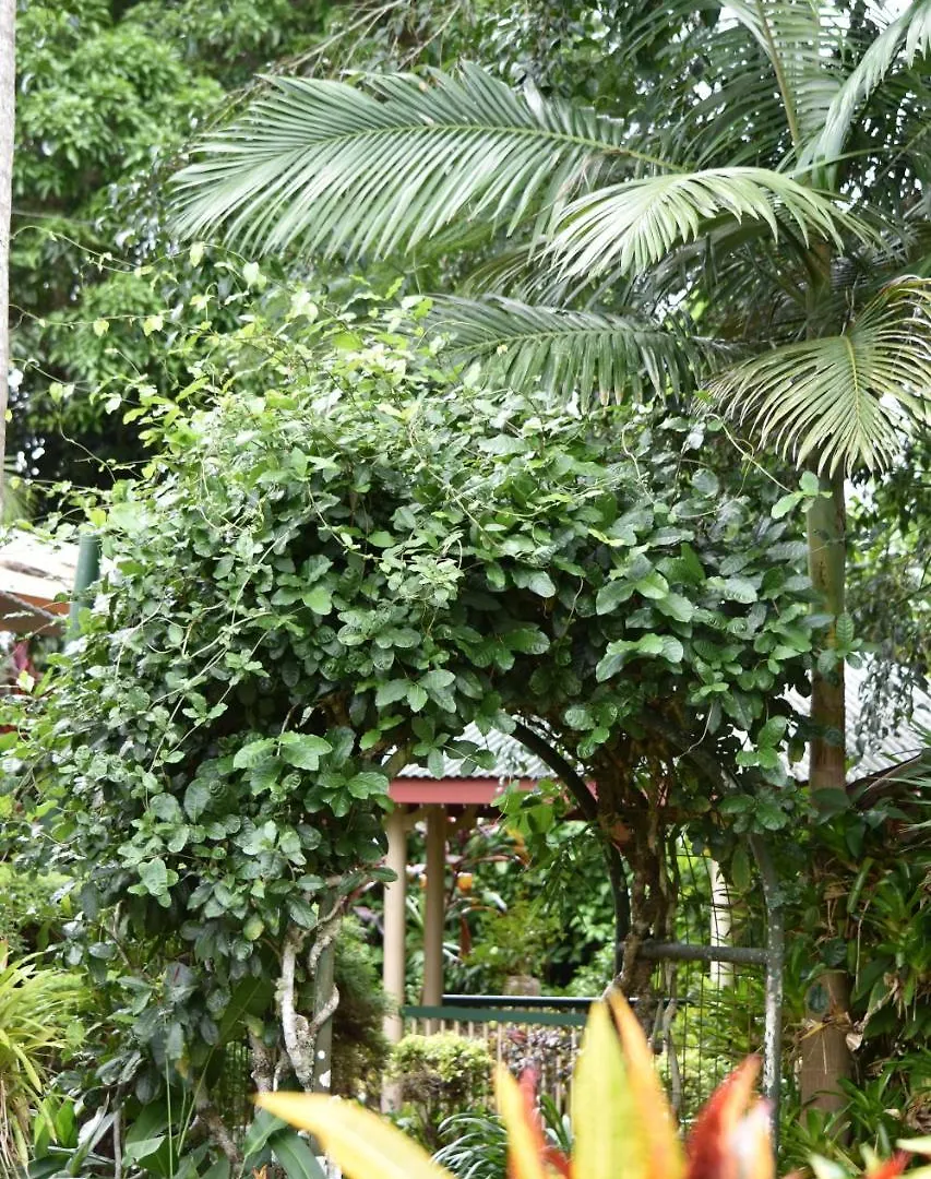 Resort Eden House Retreat Hotel Yungaburra